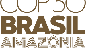 30e Conférence des Nations unies sur les changements climatiques (COP 30)