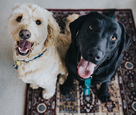 Best Buddies