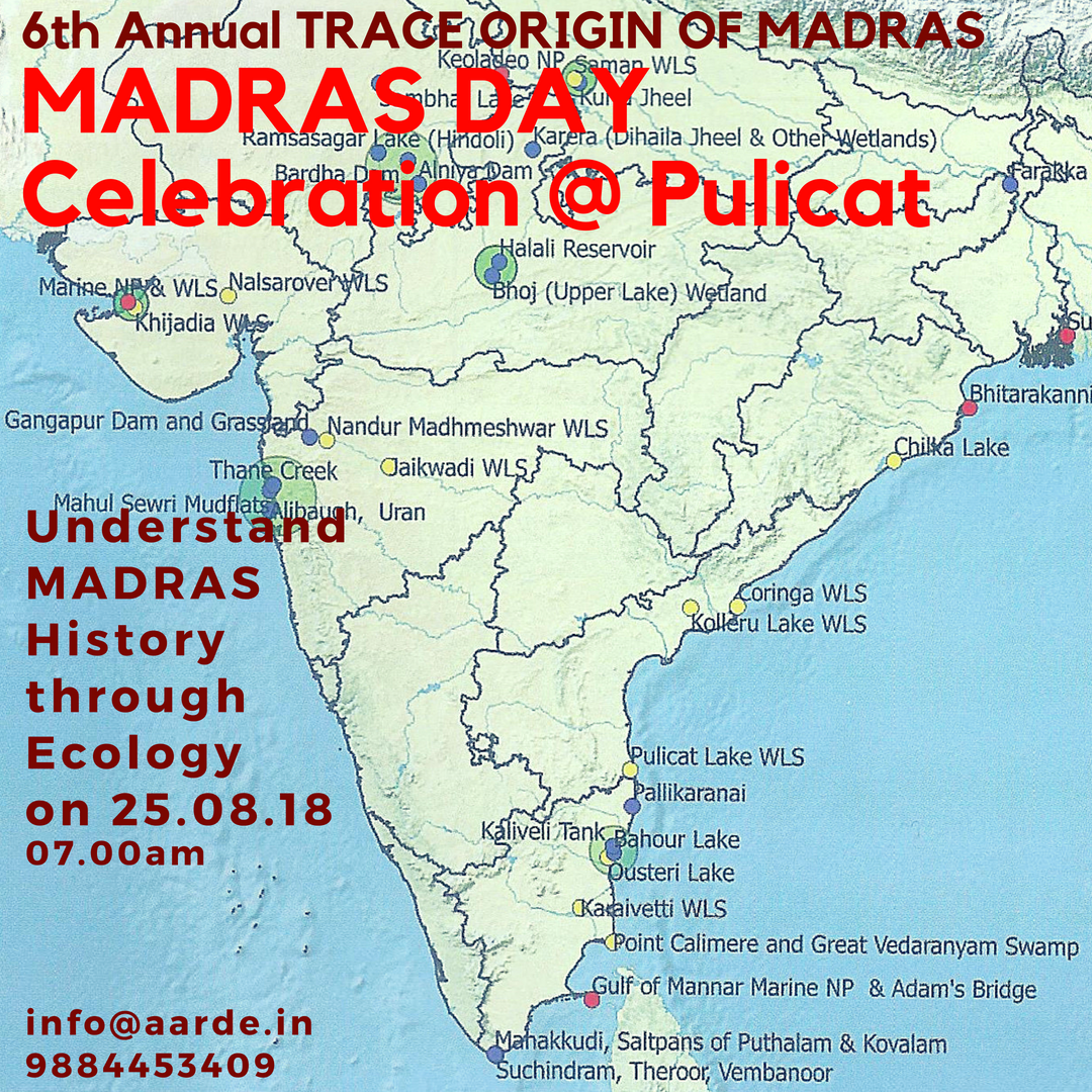 Save Pulicat to Save Chennai