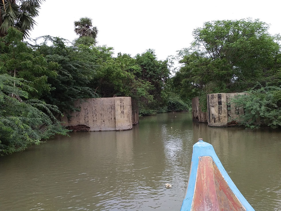 Buckingham Canal