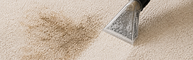 Professional carpet stain and odour treatment in Zürich with extraction cleaning equipment