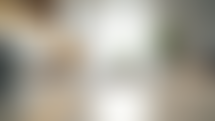 End of Tenancy Cleaning Zürich: Essential Guide for Renters