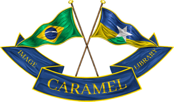 Desenho Bandeira.jpg