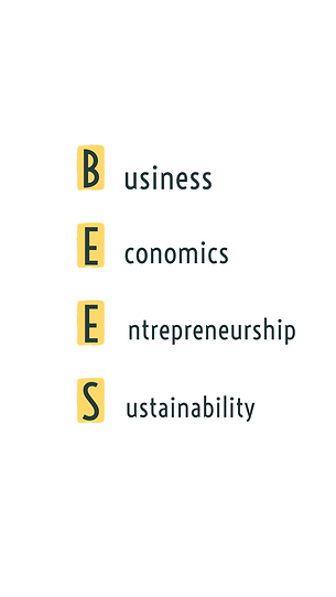 Minha publicação (12).png