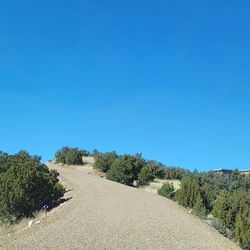 Client Driveway