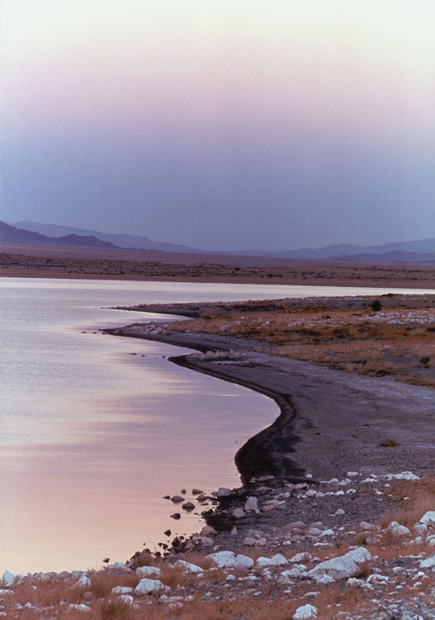 So, Quietly You Forget Everything