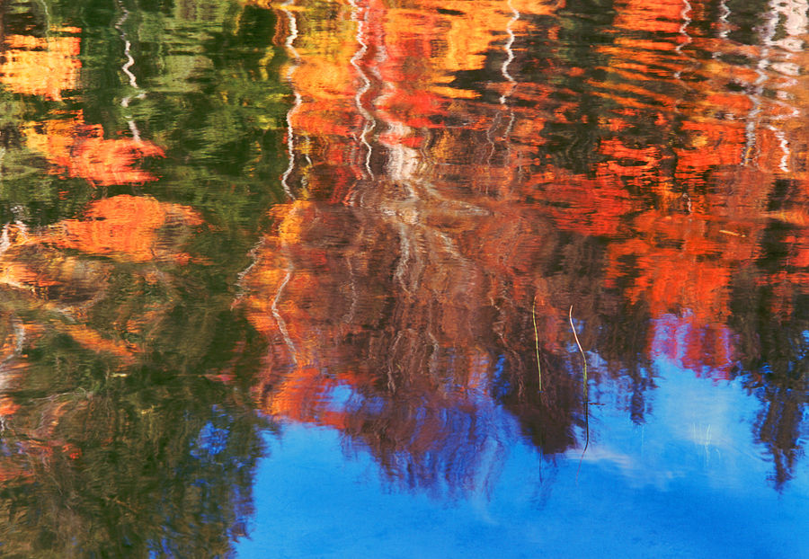 Like the Soothing Touch