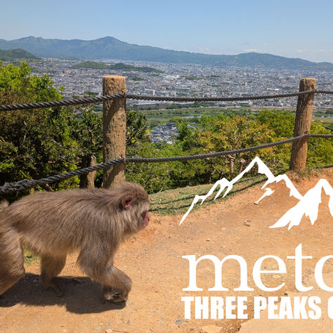 Training is underway! 