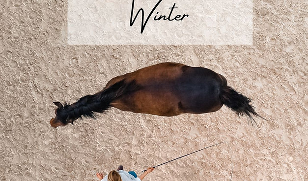 Online Winterprogramm
