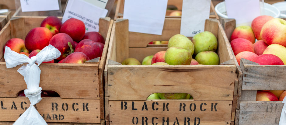 Embracing the Changing Seasons: Fall's Bounty in the Chesapeake