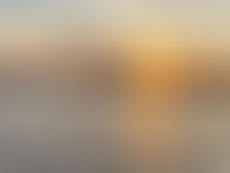 A&M Alumni Spotlight: Amelia Fox on Career Transition