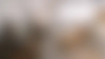 Sessão de terapia em sala clara: três adultos conversam, mulher relaxa na chaise bege; luz suave e clima calmo.