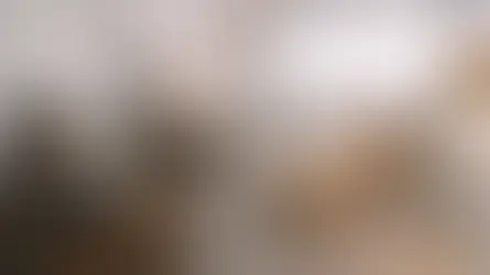 Sessão de terapia em sala clara: três adultos conversam, mulher relaxa na chaise bege; luz suave e clima calmo.