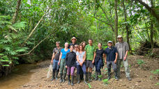 El Oro Negro en Gualaquiza