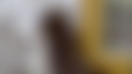 Curucucú pálido en el Bosque Medicinal