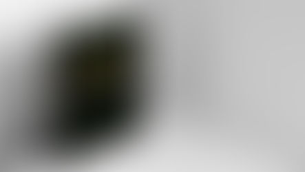 Amazonia Unida - primeros publicaciónes de los proyectos "Unidos para el desarrollo de la Amazonía"