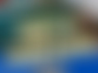 ✨やないづこどもフェスタ✨
