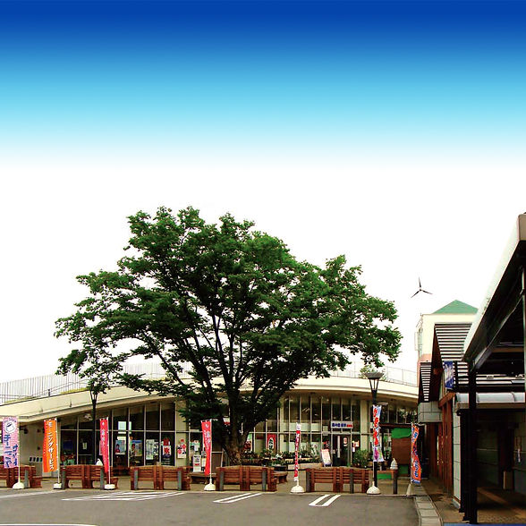 柳津道の駅外観