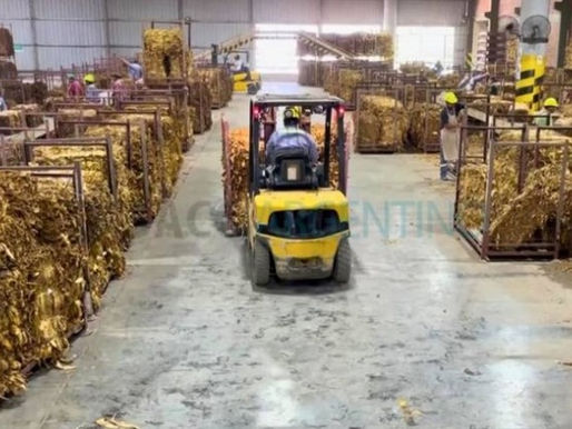 Crece la preocupación en la Cooperativa de Tabacaleros de Jujuy por demoras salariales y pagos pendientes