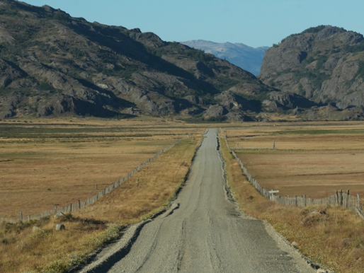 La ganadería ovina enfrenta una crisis histórica en la Patagonia