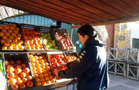 Importaciones de fruta: productores mendocinos en crisis