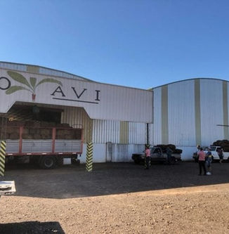 Impacto del conflicto en Medio Oriente llega a la producción tabacalera