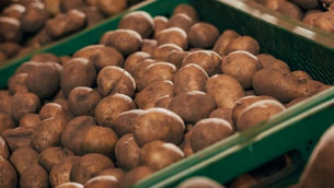 Patatas y poder: la estrategia de Estados Unidos para influir en América Latina