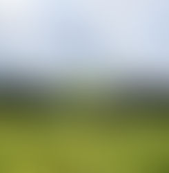 La superficie cultivada de tabaco en Zimbabue creció un 21%