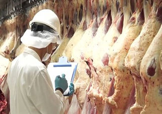 Carne, mercados internacionales y un escenario cada vez más competitivo