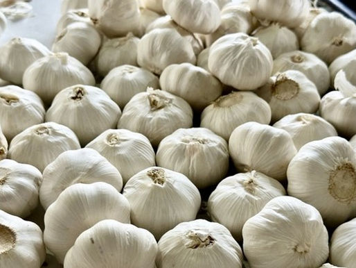 El ajo chino aumenta su producción y presiona los mercados internacionales