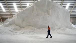 Pampa Energía invertirá US$ 2.700 millones para transformar el mercado argentino de fertilizantes