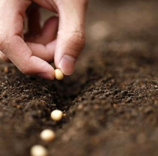 Productores del NOA rechazan la reforma de la Ley de Semillas y apuntan a las retenciones como el verdadero problema