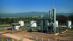 Récord histórico en la producción de alcohol del NOA