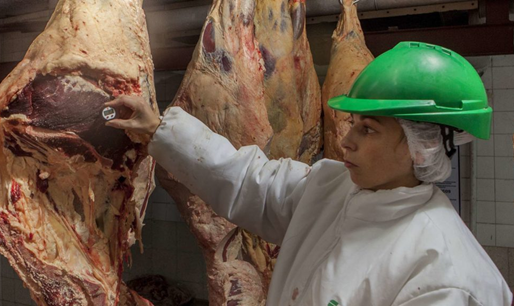 Récord histórico: el peso promedio de faena alcanza su nivel más alto en cuarenta años