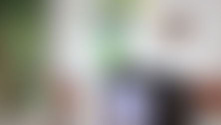 Tucuman inicia la zafra con un reclamo: la industria azucarera advierte sobre el riesgo de las importaciones brasilenos