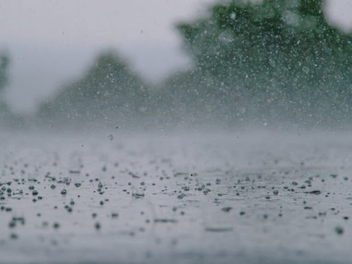 El fenómeno El Niño gana protagonismo y genera expectativas en el agro argentino
