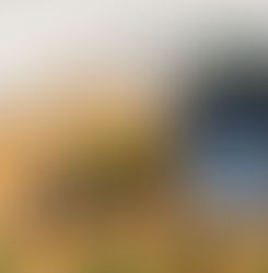 Arándanos argentinos: menos volumen, más estrategia y foco en la calidad