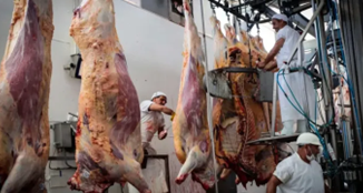 Trump da marcha atrás: la eliminación total de aranceles a la carne no se concretó y Argentina preserva sus ventajas exportadoras