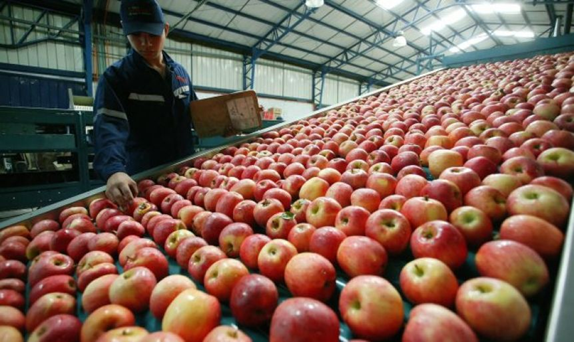El sector frutícola reclama medidas urgentes para evitar su colapso