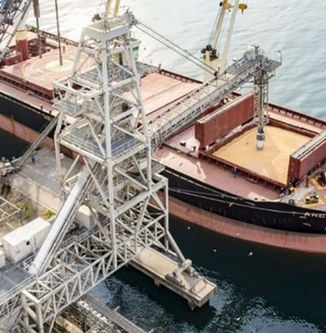 El agro explicó el 57% de las exportaciones argentinas durante el primer semestre de 2026