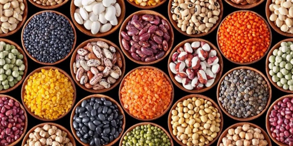 Las legumbres, protagonistas de una agenda alimentaria sostenible