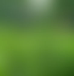 Productores y la CoProTé buscan un nuevo precio ante el impacto del dólar y una cosecha complicada