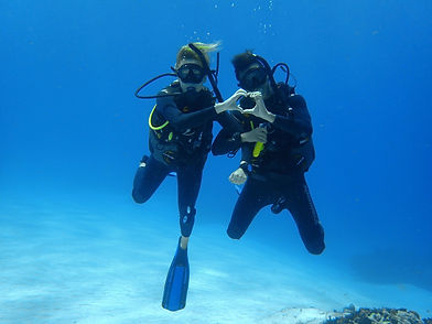 PADI Open Water Referral Cozumel