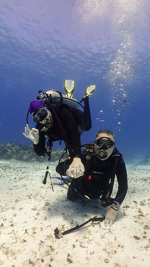 PADI Open Water Diver Certification