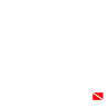 Blueemotion logo blanco.png