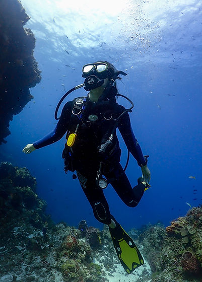 Cozumel Diver