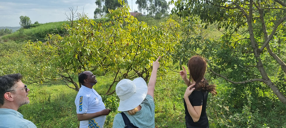 CEDErva participa de workshop internacional de agroecologia no Quênia e fortalece rede global de pesquisa e ação comunitária