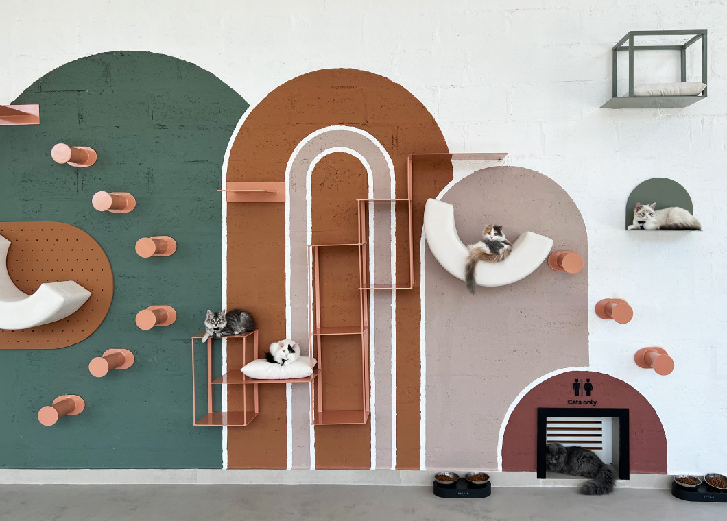 Vibrissae Dubai's Best Cat Cafe