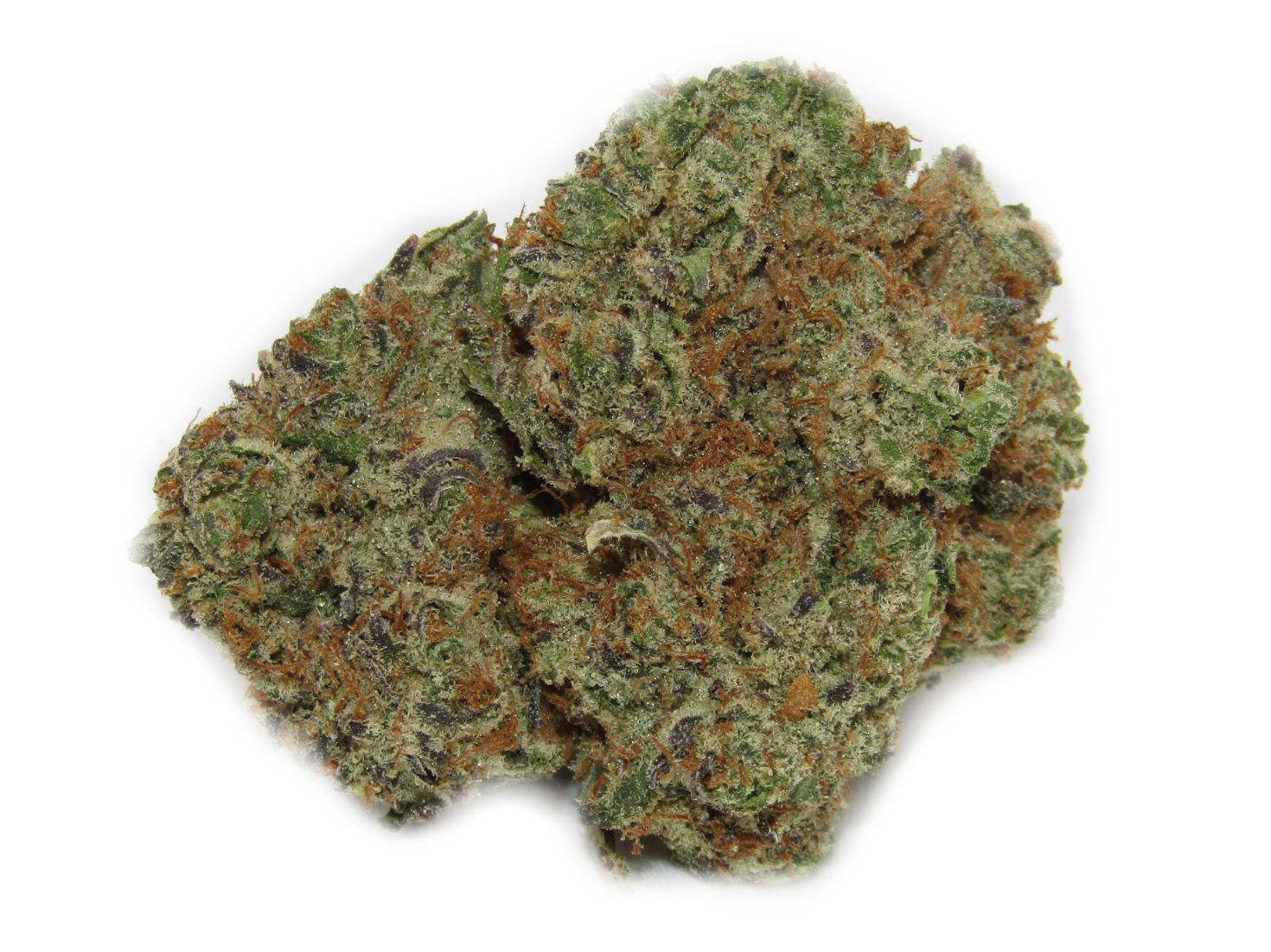 Jealousy (PR) 28G