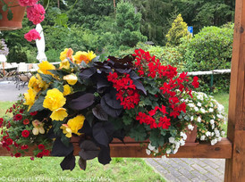Blumenkasten